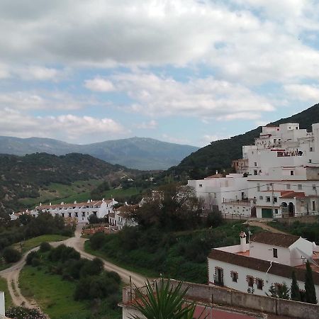 Vila Casita Gazul Alcalá de los Gazules Exteriér fotografie